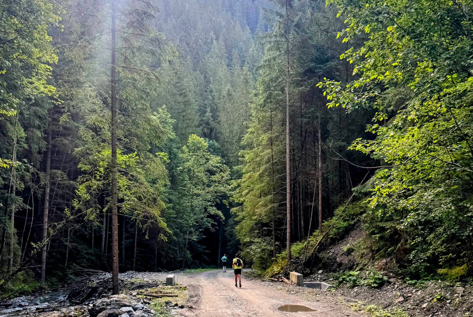 End of the descent to Zugreni, deep in the forest