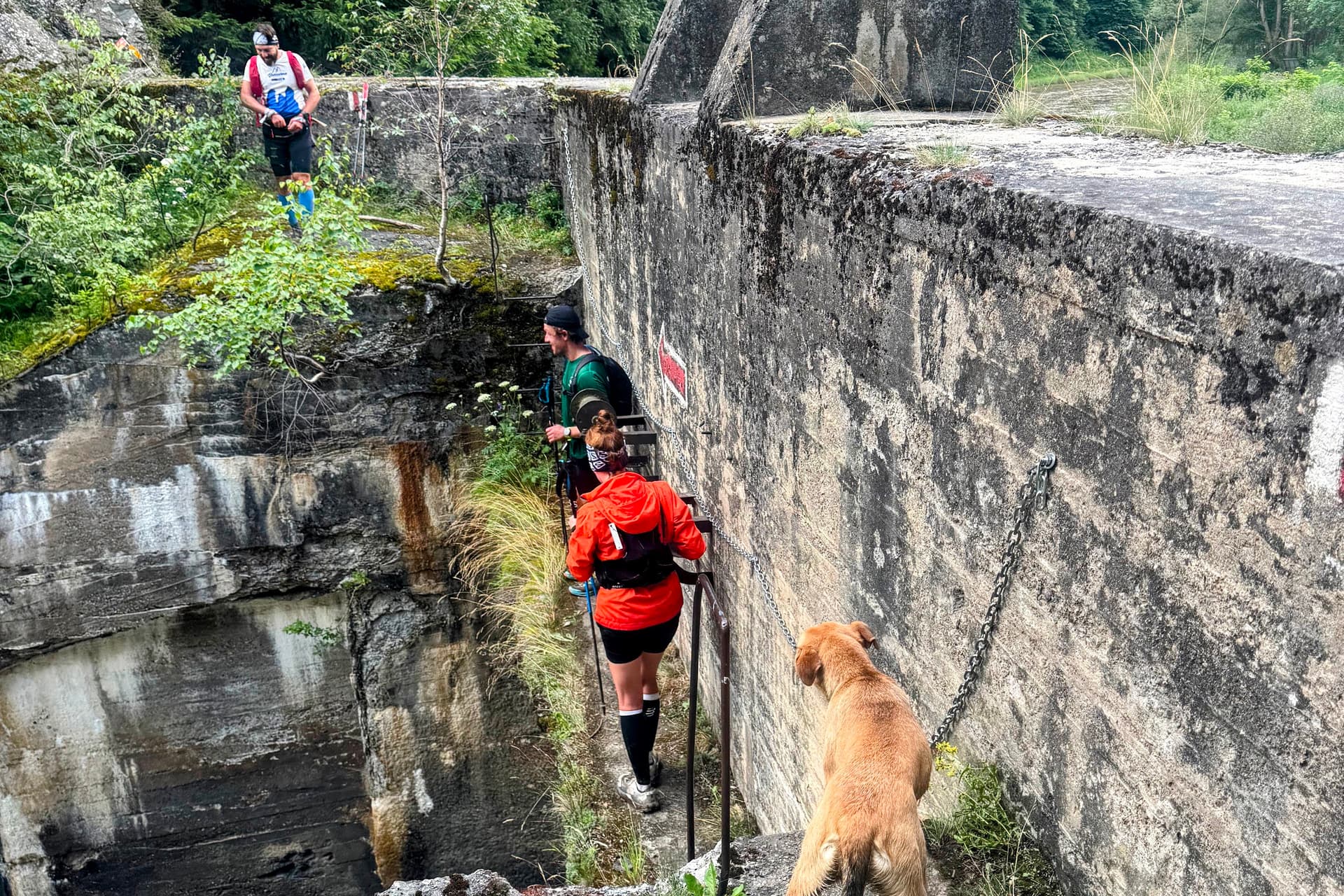 The fitted dam at the Zugreni exit: chains, ladders… and a four-legged supporter