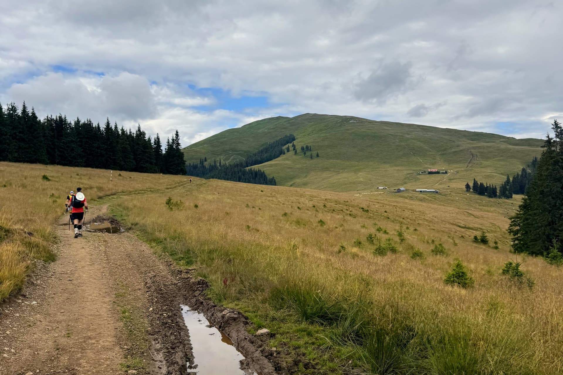 The approach to Cabana Giumalău, last top-up before the high point